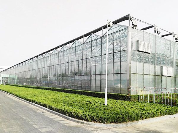 智能温室