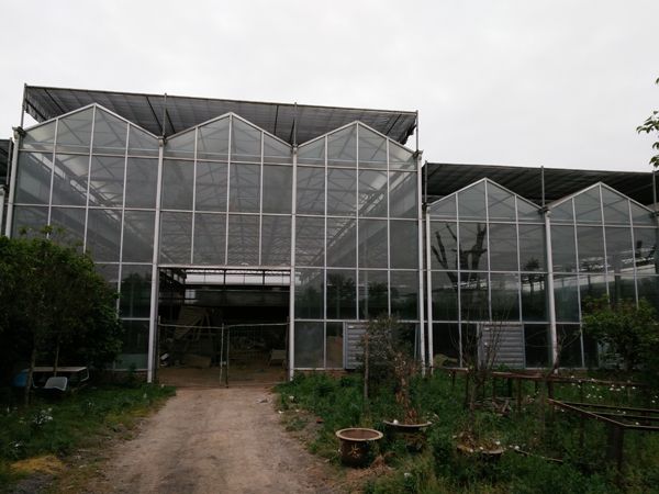 玻璃温室 